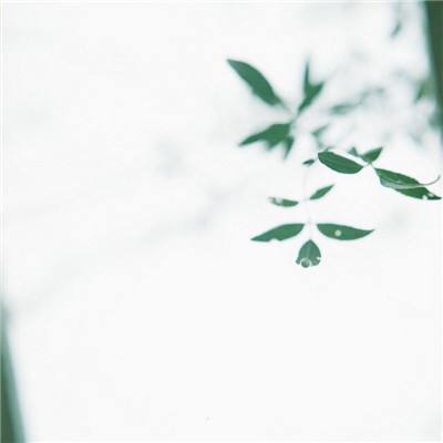 蹦蹦堂九游版下载